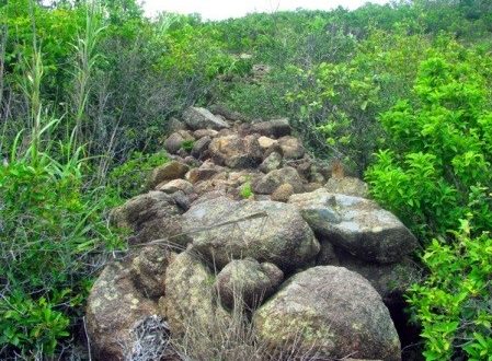 VỀ QUY NHƠN, GHÉ PHƯƠNG MAI, CHIÊM NGHIỆM LŨY CỔ