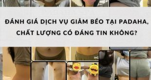 dich vu giam beo tai pandaha co uy tin khong 1